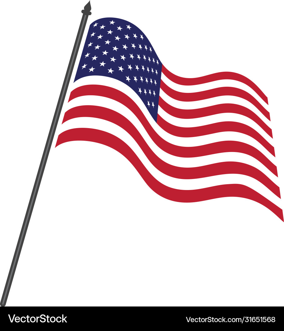 Flag american icon Flag american icon vector image