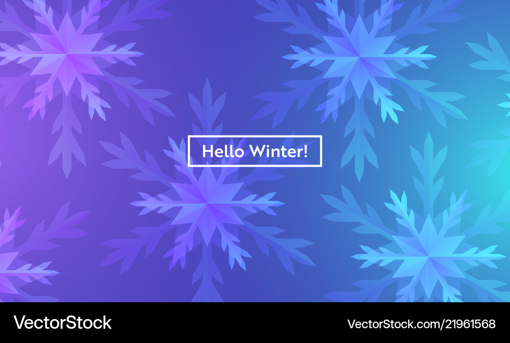 Hello winter layout with snowflakes for web site Hello winter layout with snowflakes for web site vector image