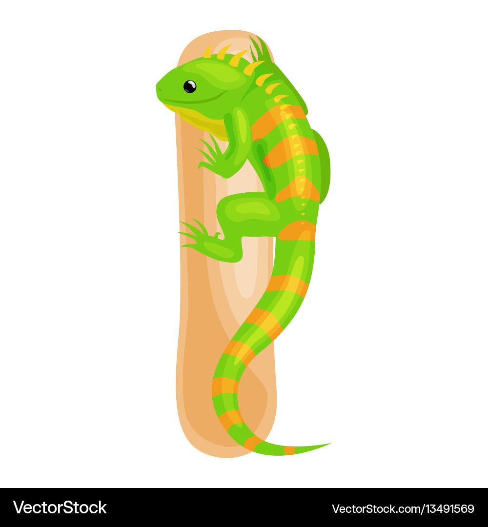 Animals alphabet for kids fish letter i cartoon Animals alphabet for kids fish letter i cartoon vector image