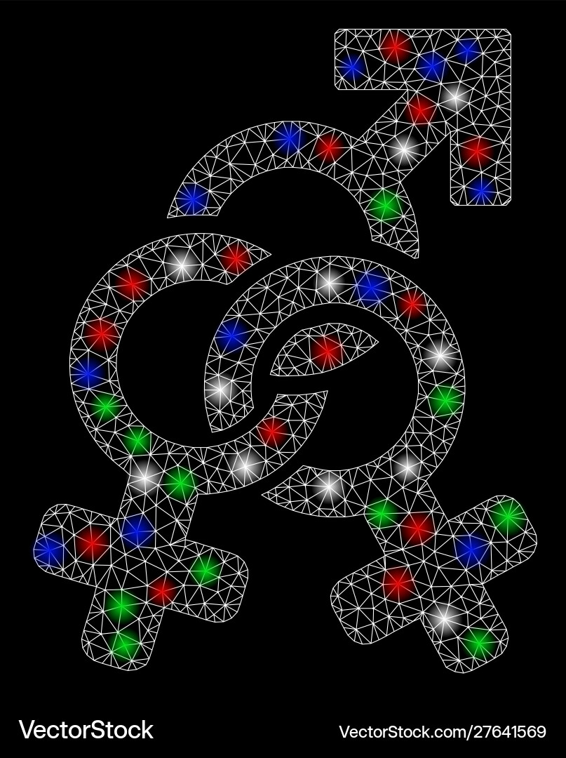 Bright mesh network double mistress with light Vector Image