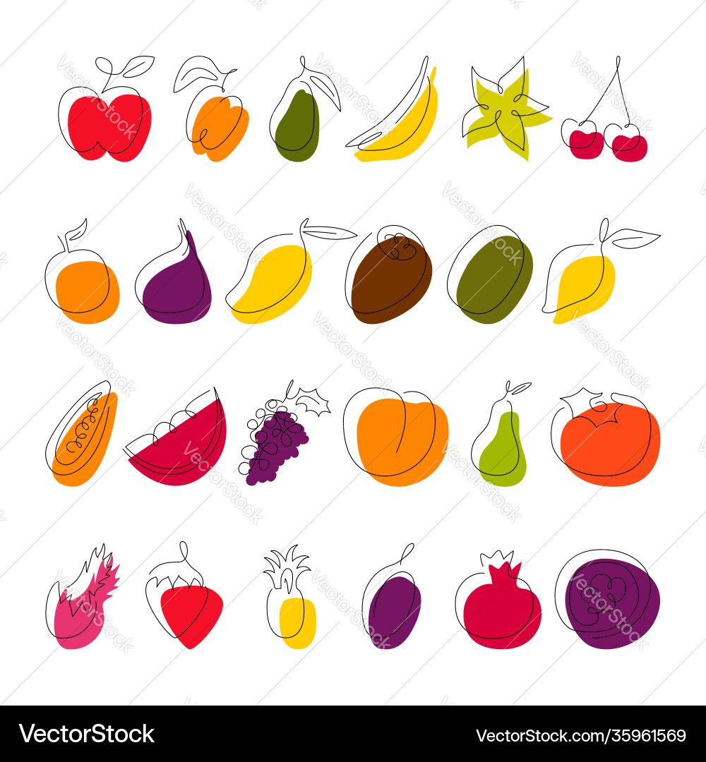 Fruit continuous line drawing collection isolated Fruit continuous line drawing collection isolated Vector Image