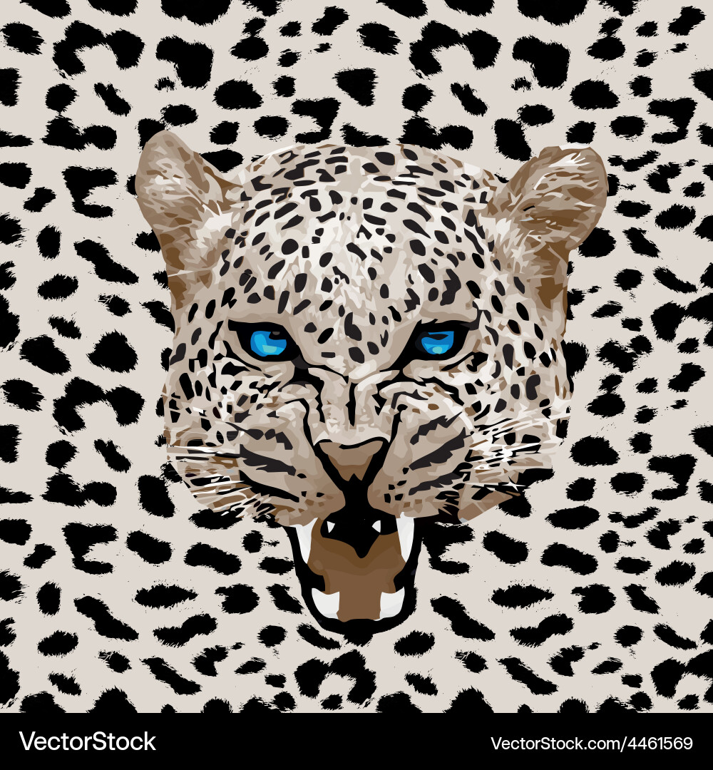 Leopard pattern vector image