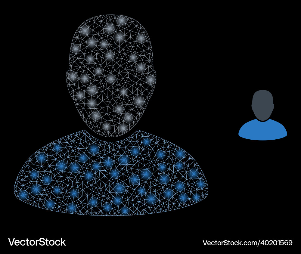 Mesh web customer with shiny constellation Mesh web customer with shiny constellation vector image