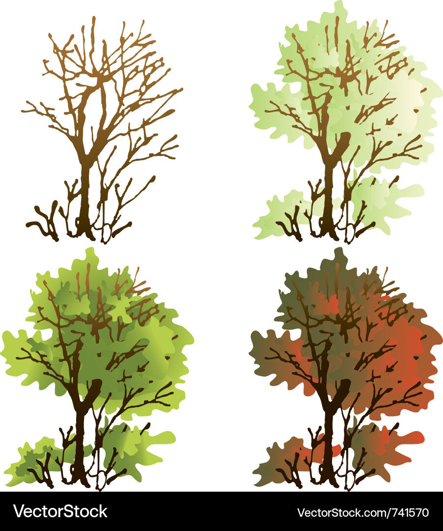 Deciduous tree vector image