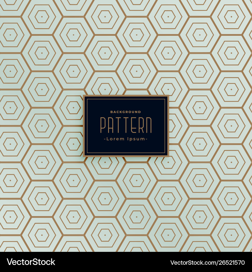 Hexagonal line pattern background design vector image