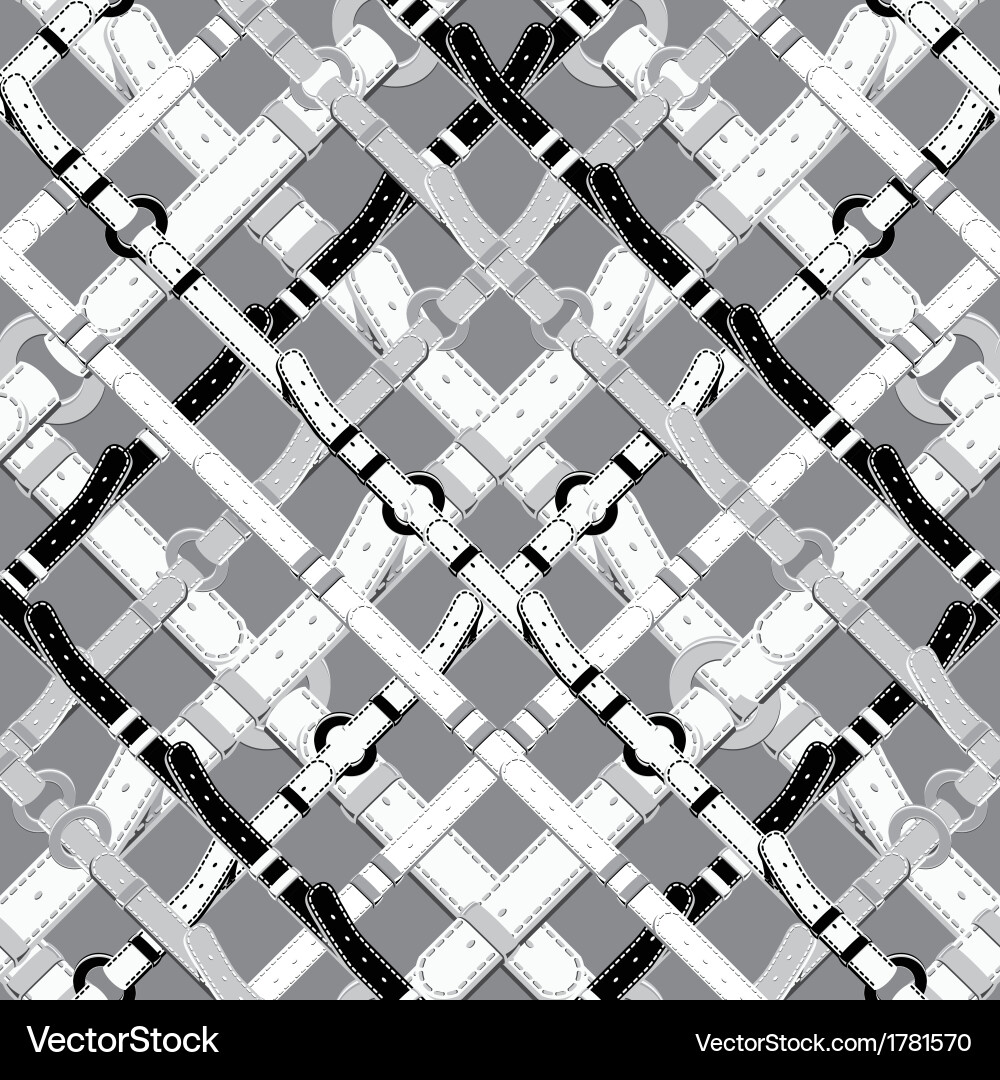 Pattern in nautical style with belts vector image