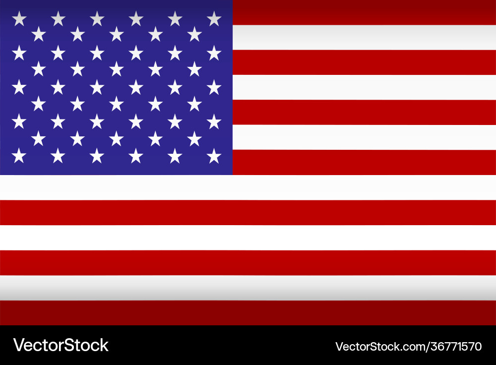 USA Flag Symbol vector image