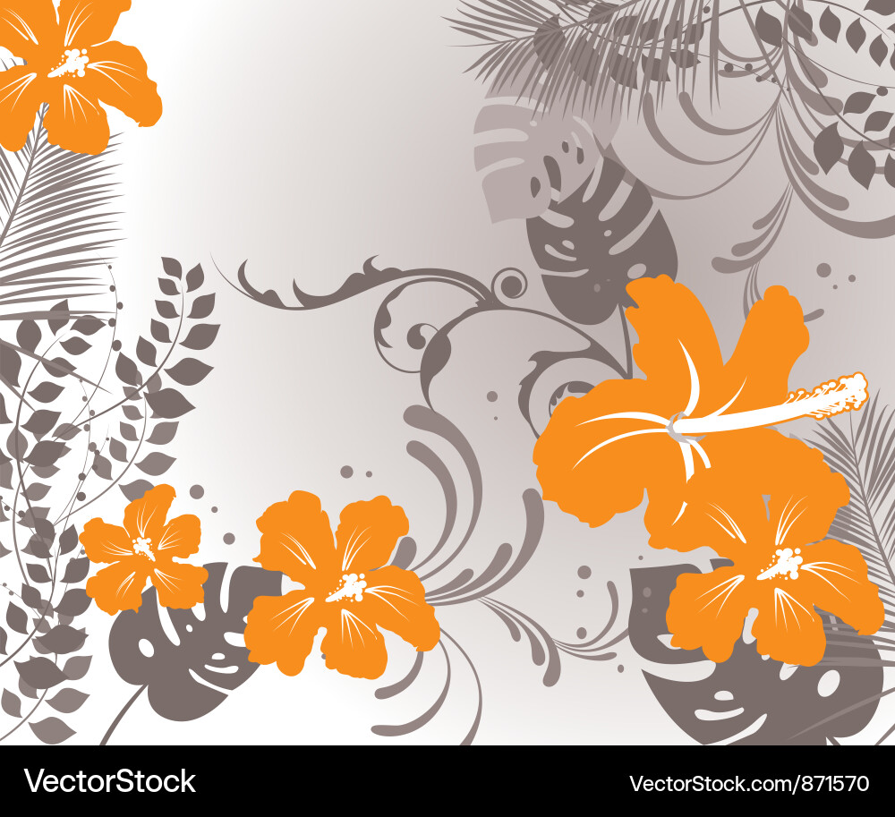Vintage Hibiscus Background Vector Image