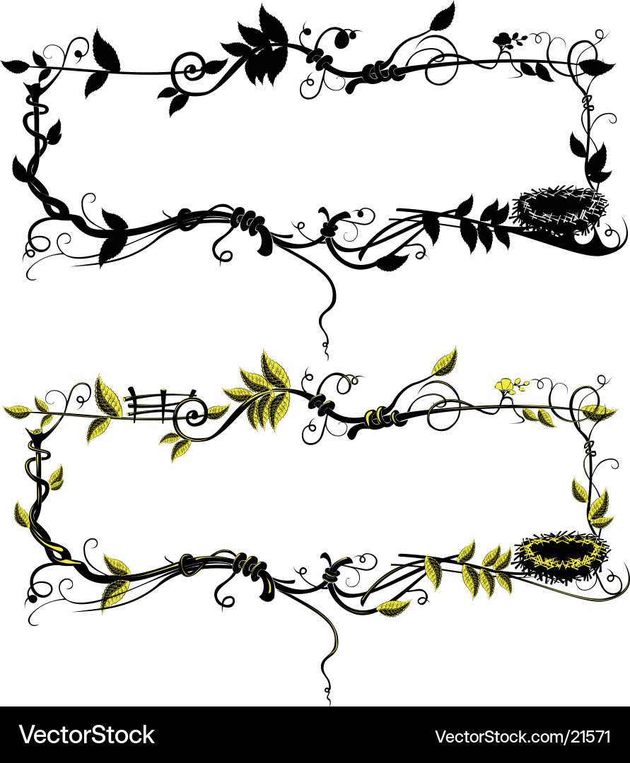 Botanical Branch Frame vector image