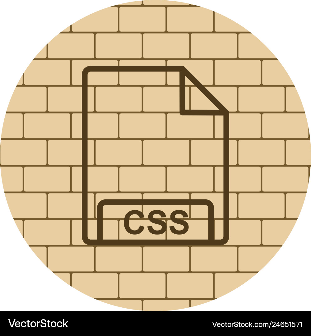 Css icon vector image
