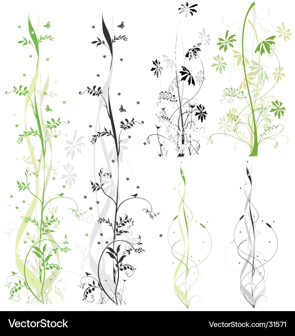 Floral Scroll Pattern Set Vector Image