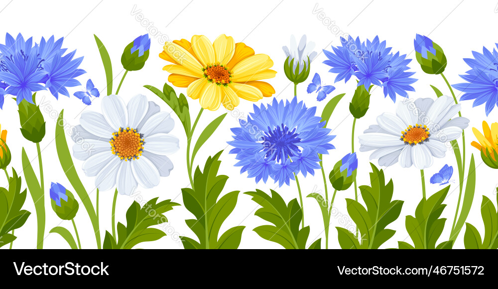 Daisy and cornflowers seamless border Daisy and cornflowers seamless border Vector Image