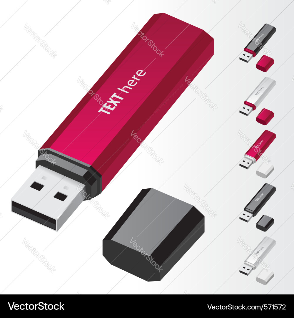 USB Flash Drive Vector Image