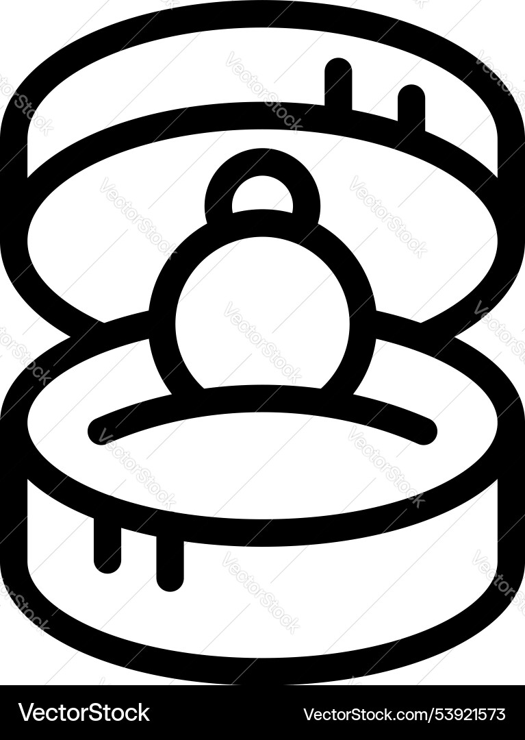Open ring case with a inside isolate on white Open ring case with a inside isolate on white Vector Image