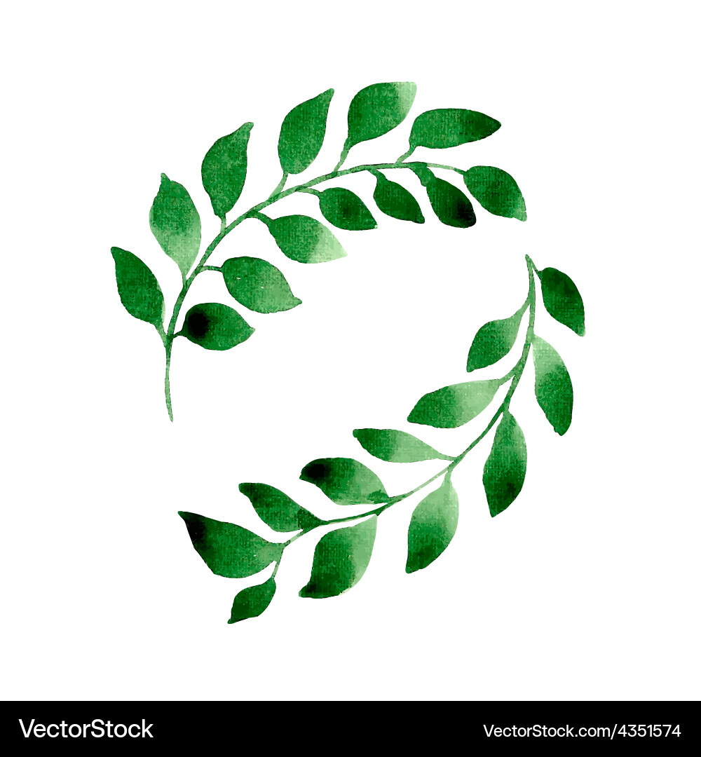 2 branches Vector Image