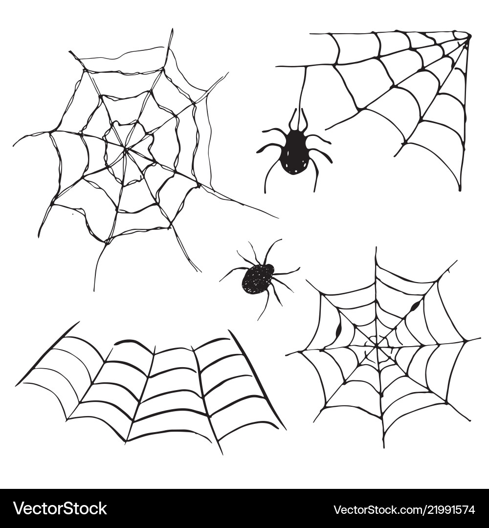 Spooky Spider Web Sketch Set vector image