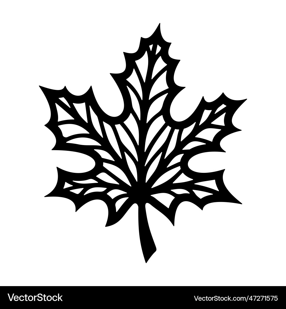 Maple leaf silhouette Royalty Free Vector Image