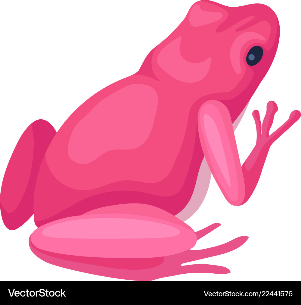 Bright pink frog back view small toad with black Bright pink frog back view small toad with black vector image