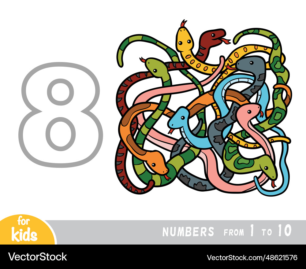 Educational poster for children about numbers Educational poster for children about numbers vector image