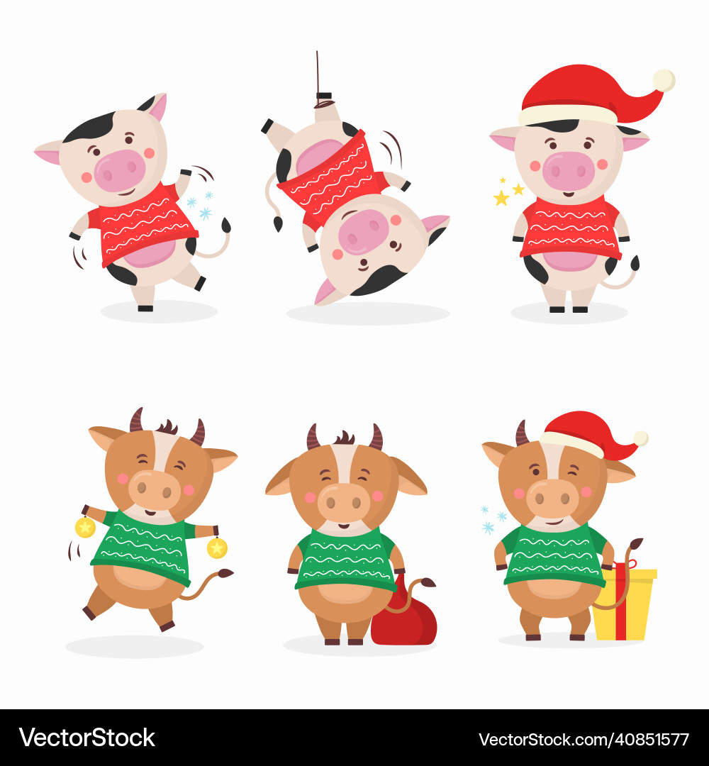 Color bulls chinese new year 2021 cow with horns Color bulls chinese new year 2021 cow with horns vector image