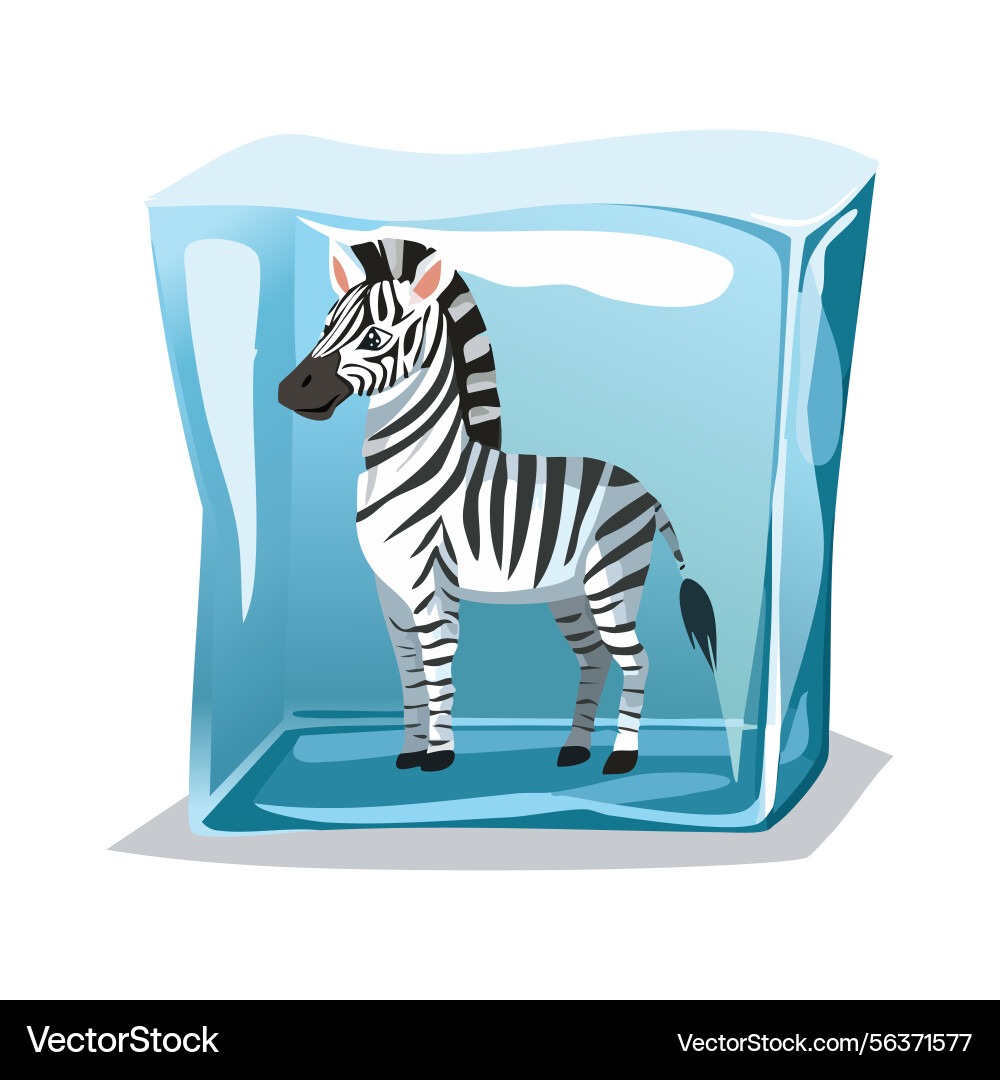 Zebra in the ice cube Zebra in the ice cube Vector Image