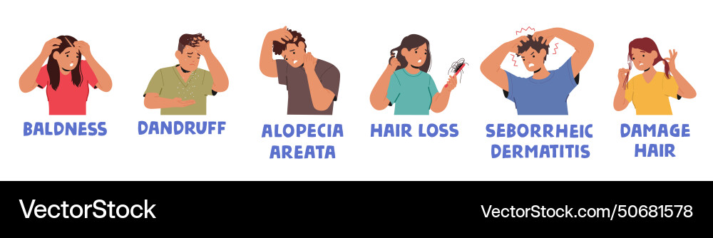People with hair problems experience baldness People with hair problems experience baldness vector image
