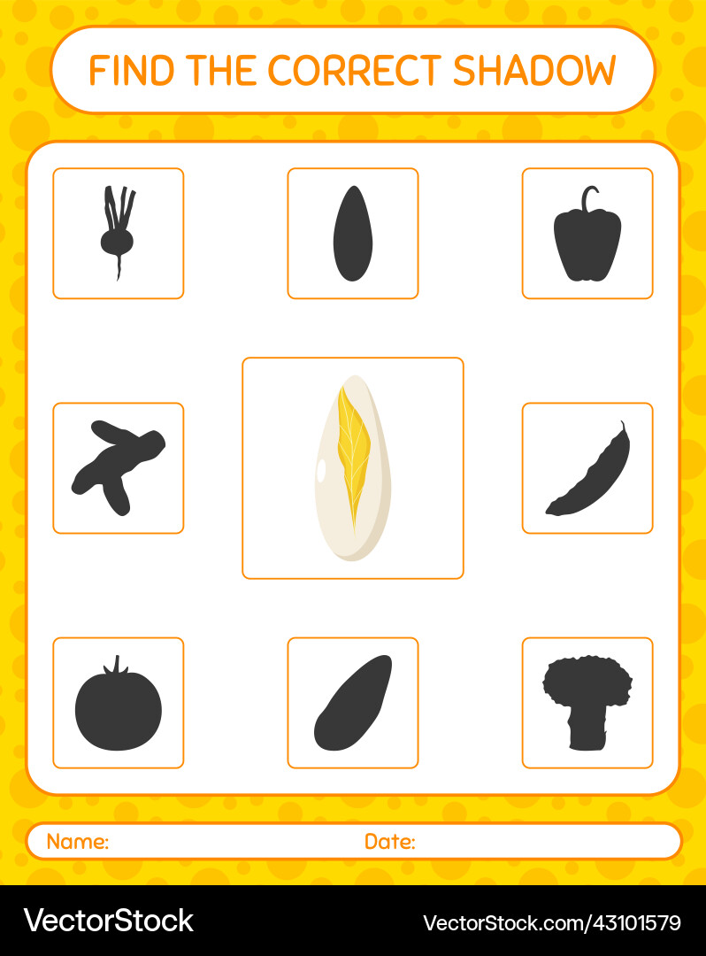 Find the correct shadows game with witloof Find the correct shadows game with witloof vector image