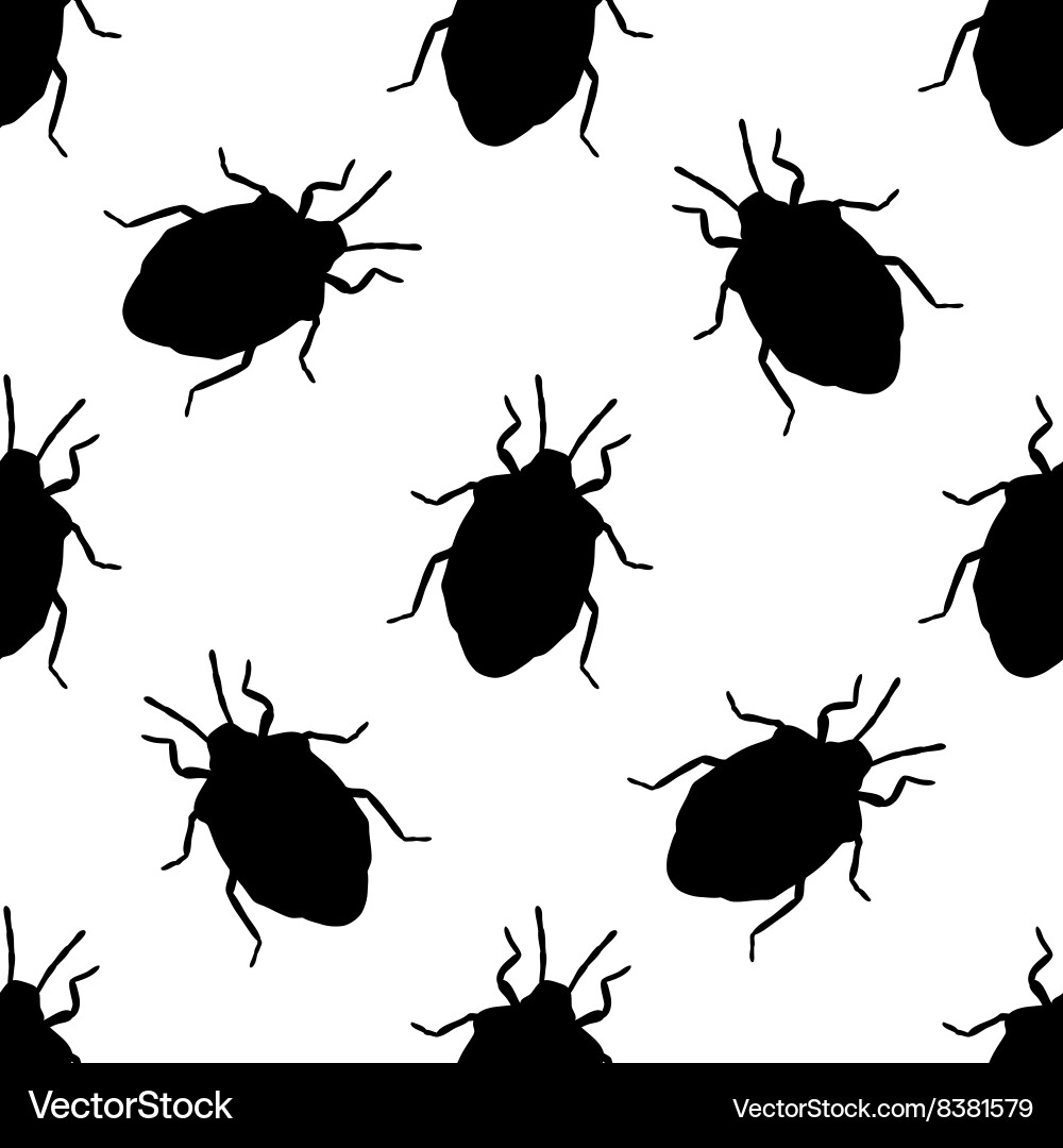 Seamless pattern with shield bug palomena prasina vector image