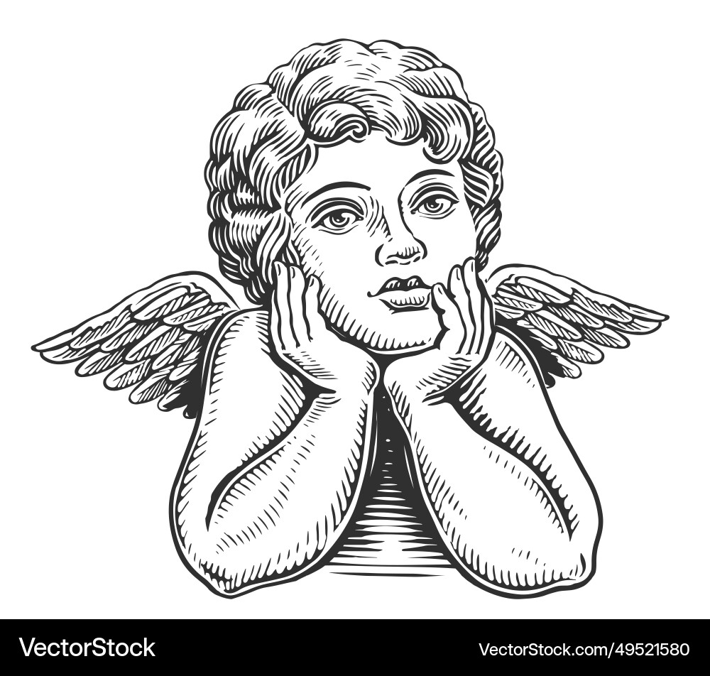 Angel child with wings cherub or cupid vector image