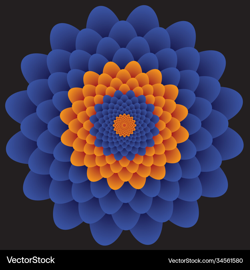 Flower color pattern or texture Flower color pattern or texture vector image