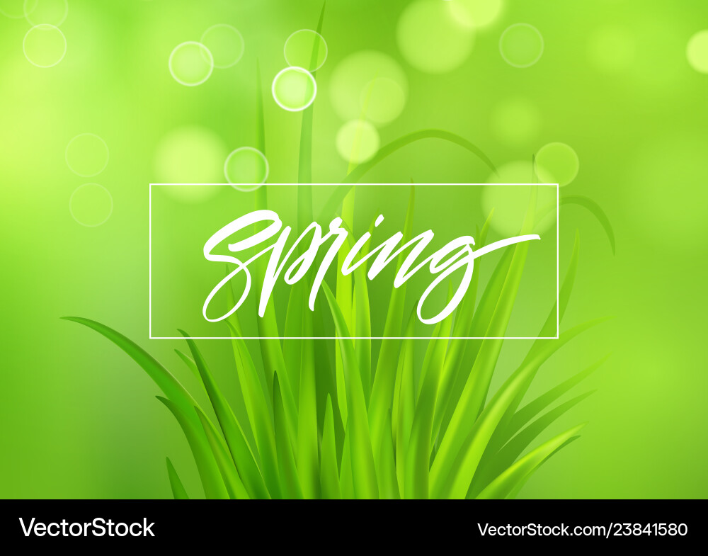Flowing soft spheres abstract background with 3d vector image
