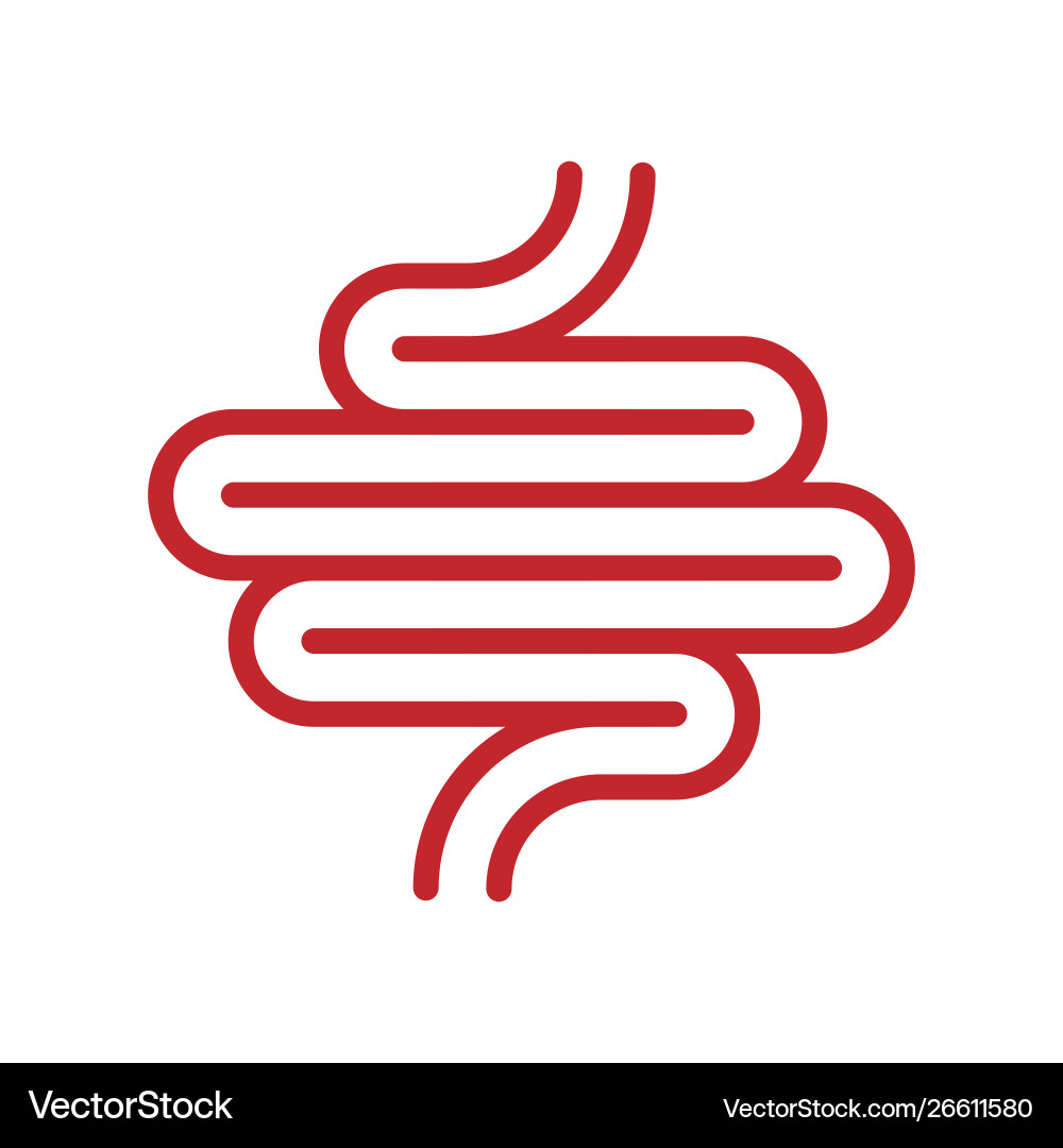 Human digestion tract Royalty Free Vector Image