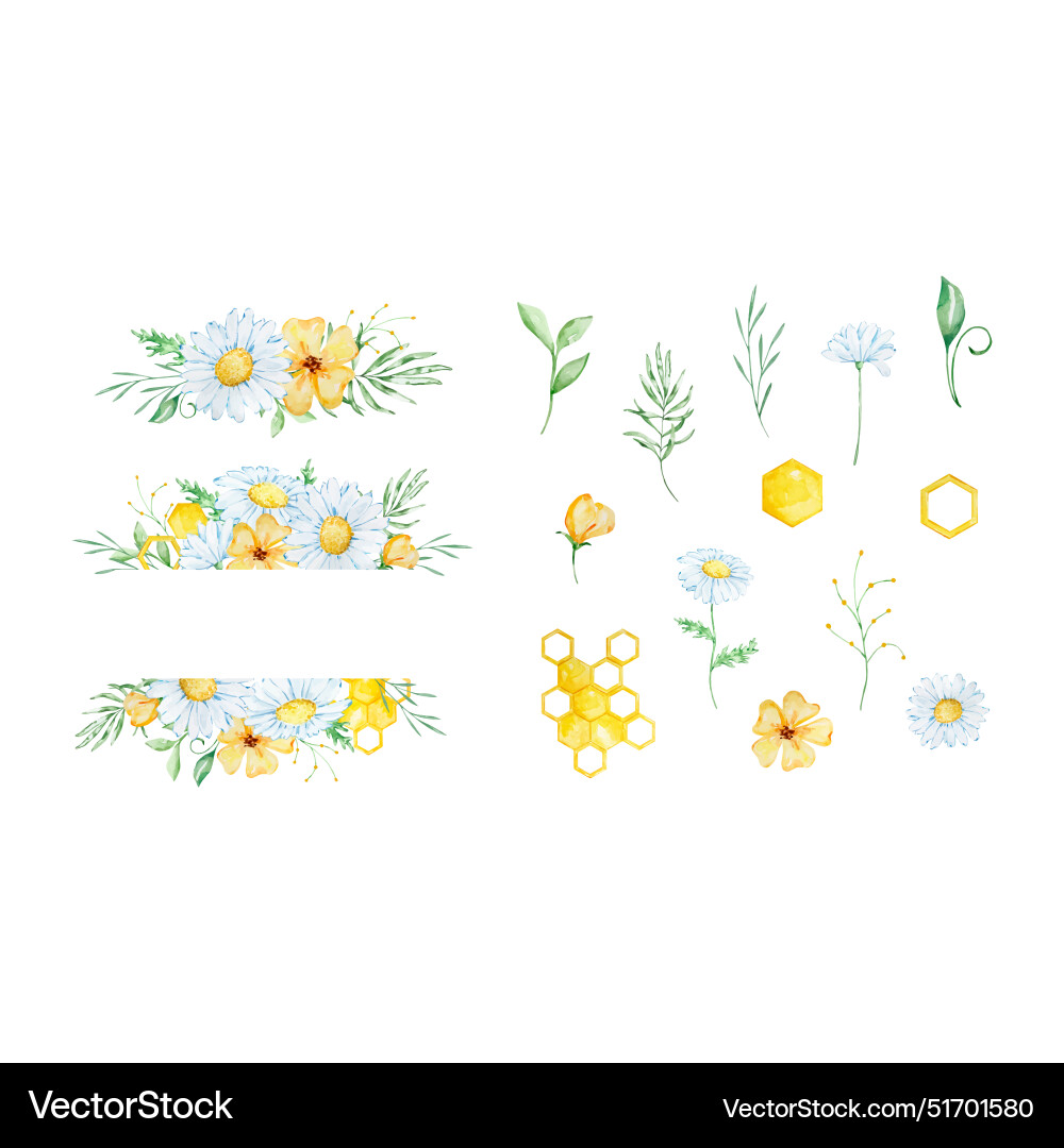 Watercolor floral frame with honeycomb daisy Vector Image