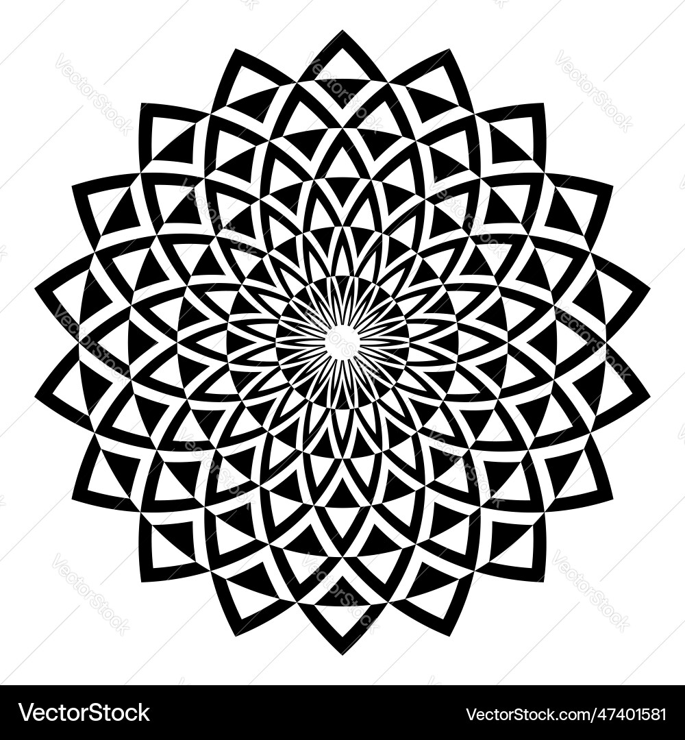 Intricate Radial Circle Pattern vector image