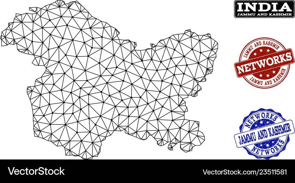 Polygonal network mesh map of jammu Polygonal network mesh map of jammu vector image