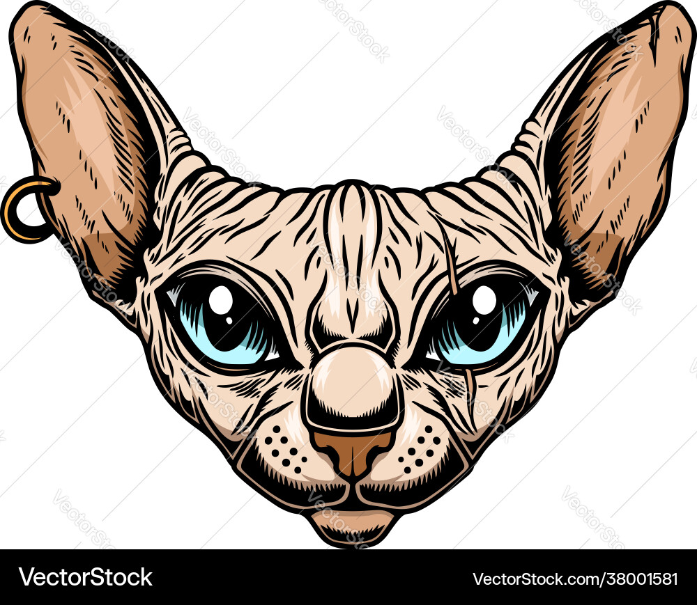 Sphynx Katzenkopf Designelement für Posterkarte Sphynx Katzenkopf Designelement für Posterkarte vektorbild