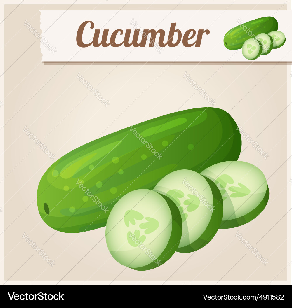 Cucumber detailed icon Vector Image