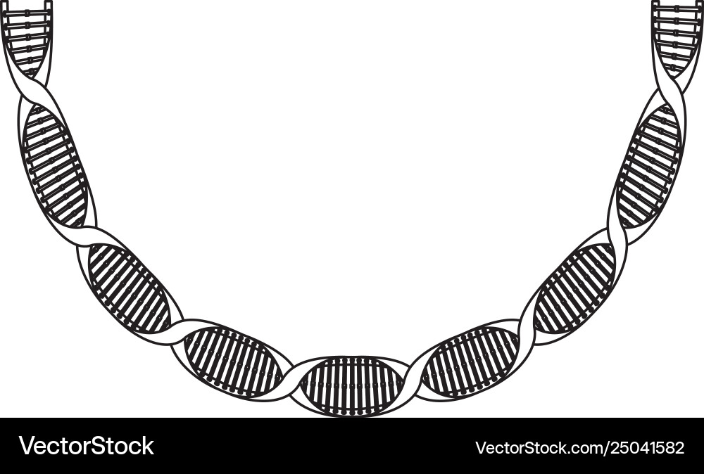 Dna chain with curve science icon Dna chain with curve science icon Vector Image