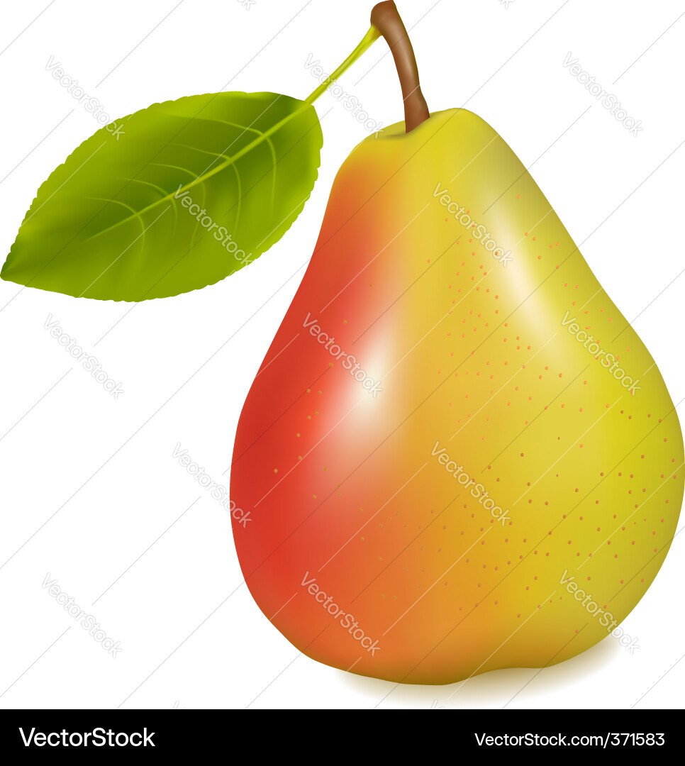 Birne mit Blatt Vektorbild