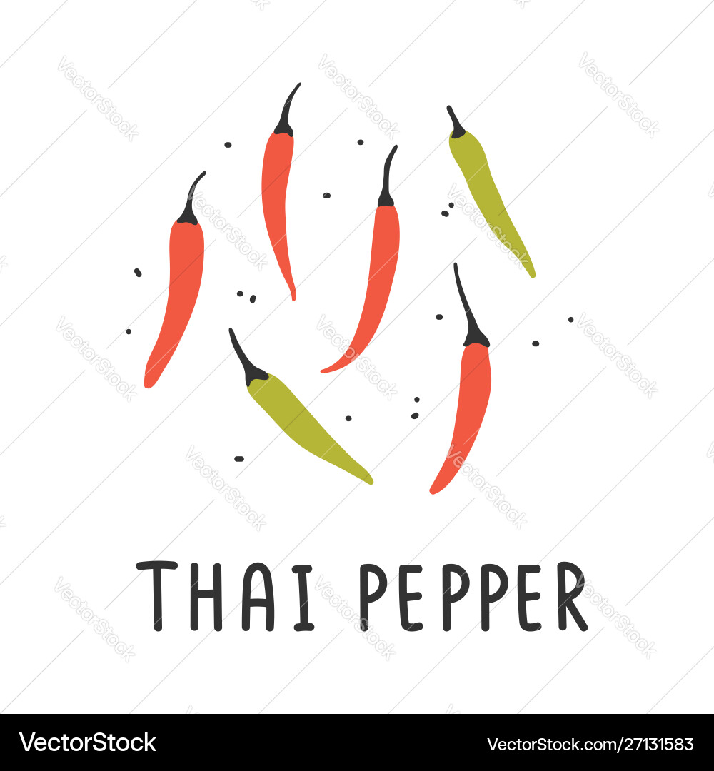 Blank Vector Image
