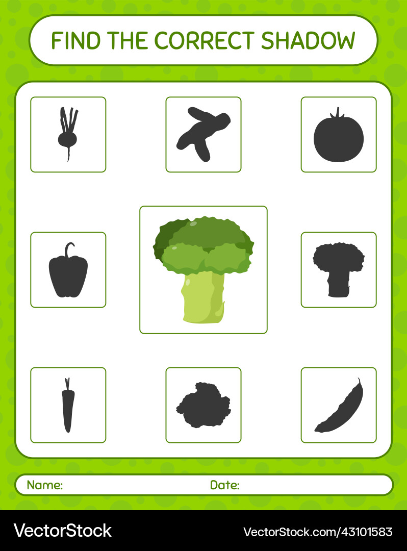 Find the correct shadows game with broccoli Find the correct shadows game with broccoli vector image