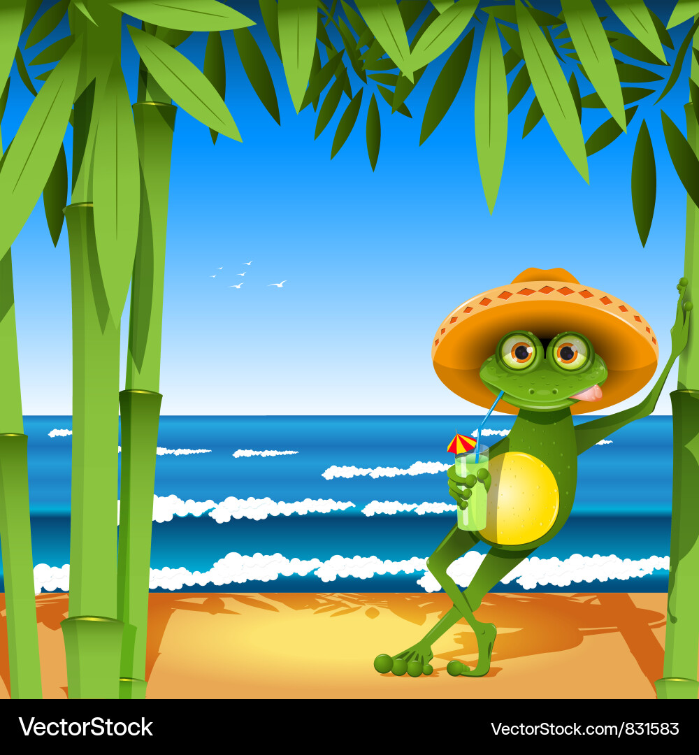 Frog on Sandy Beach Vector Image