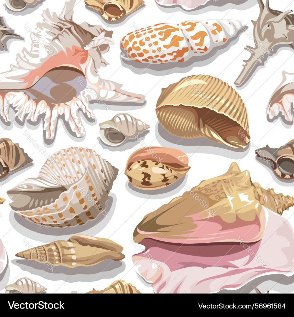 Seamless pattern with colorful realistic seashells Seamless pattern with colorful realistic seashells vector image