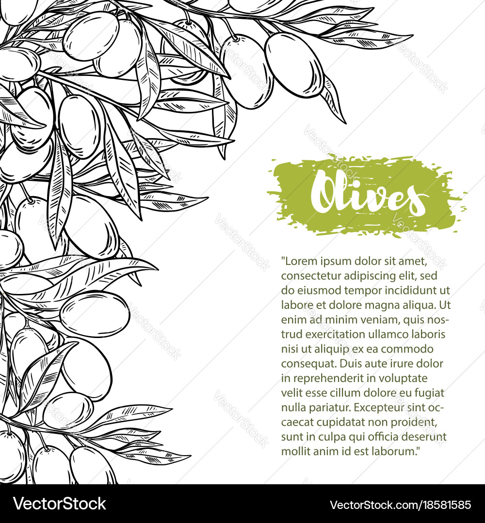 Border with colorful olives pattern Vector Image