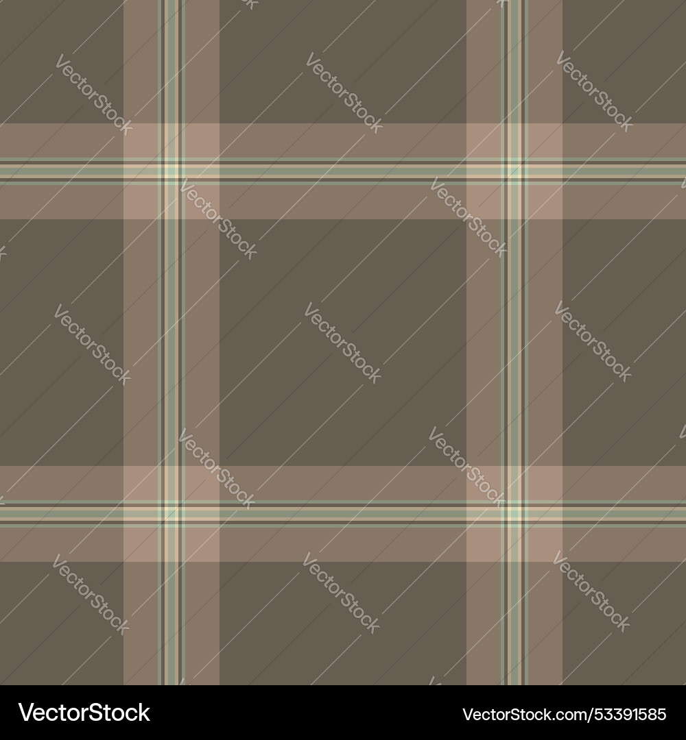 Package background check texture close up pattern Vector Image