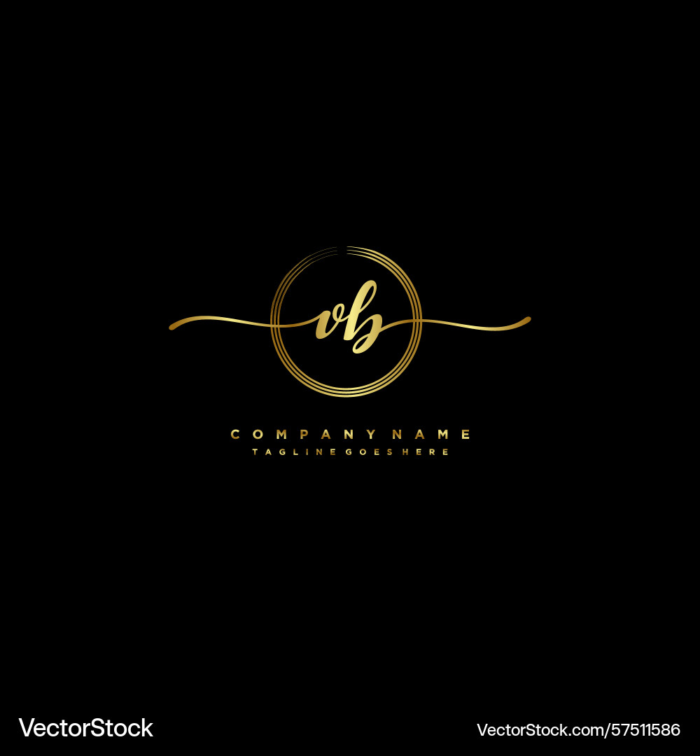 Vb initial handwriting logo with circular wave Vector Image