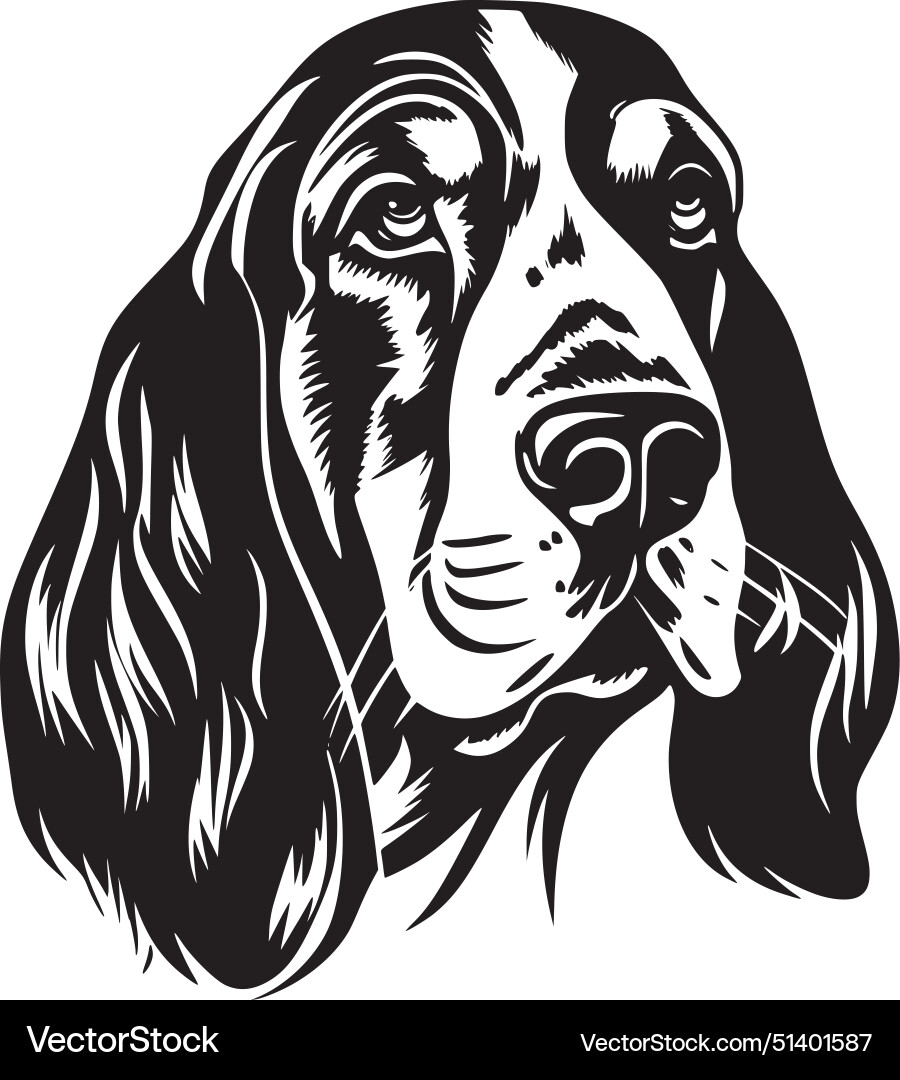 Basset hound - black and white Royalty Free Vector Image