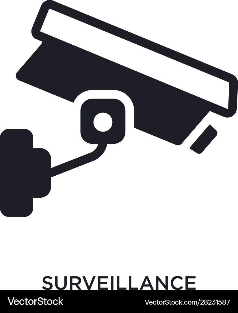 Surveillance isolated icon simple element from Vector Image