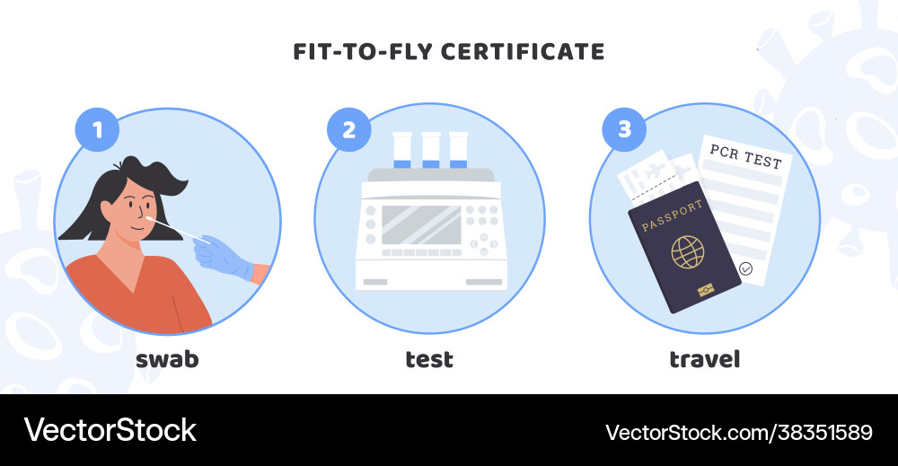 Verfahren die fit für Fly Certificate Verfahren die fit für Fly Certificate vektorbild