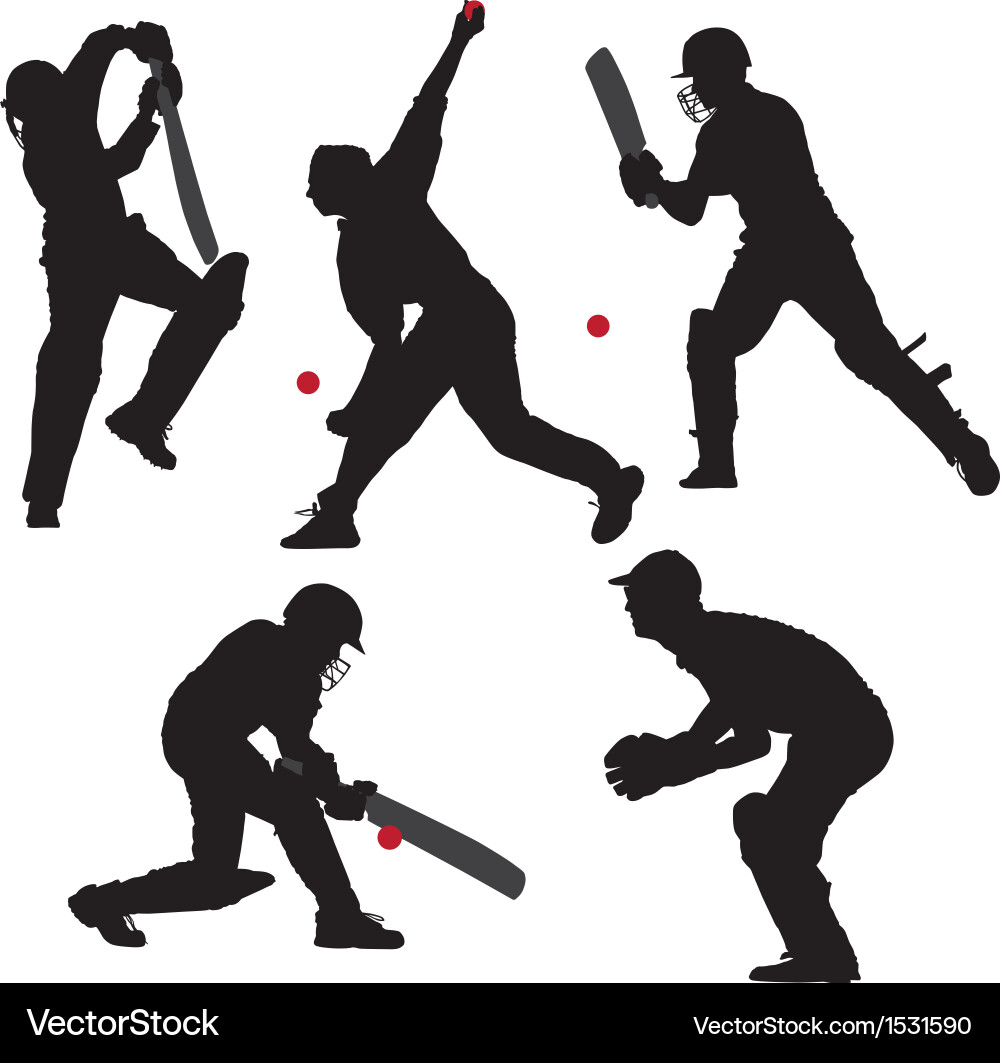 Cricket Batsman in Action vector image